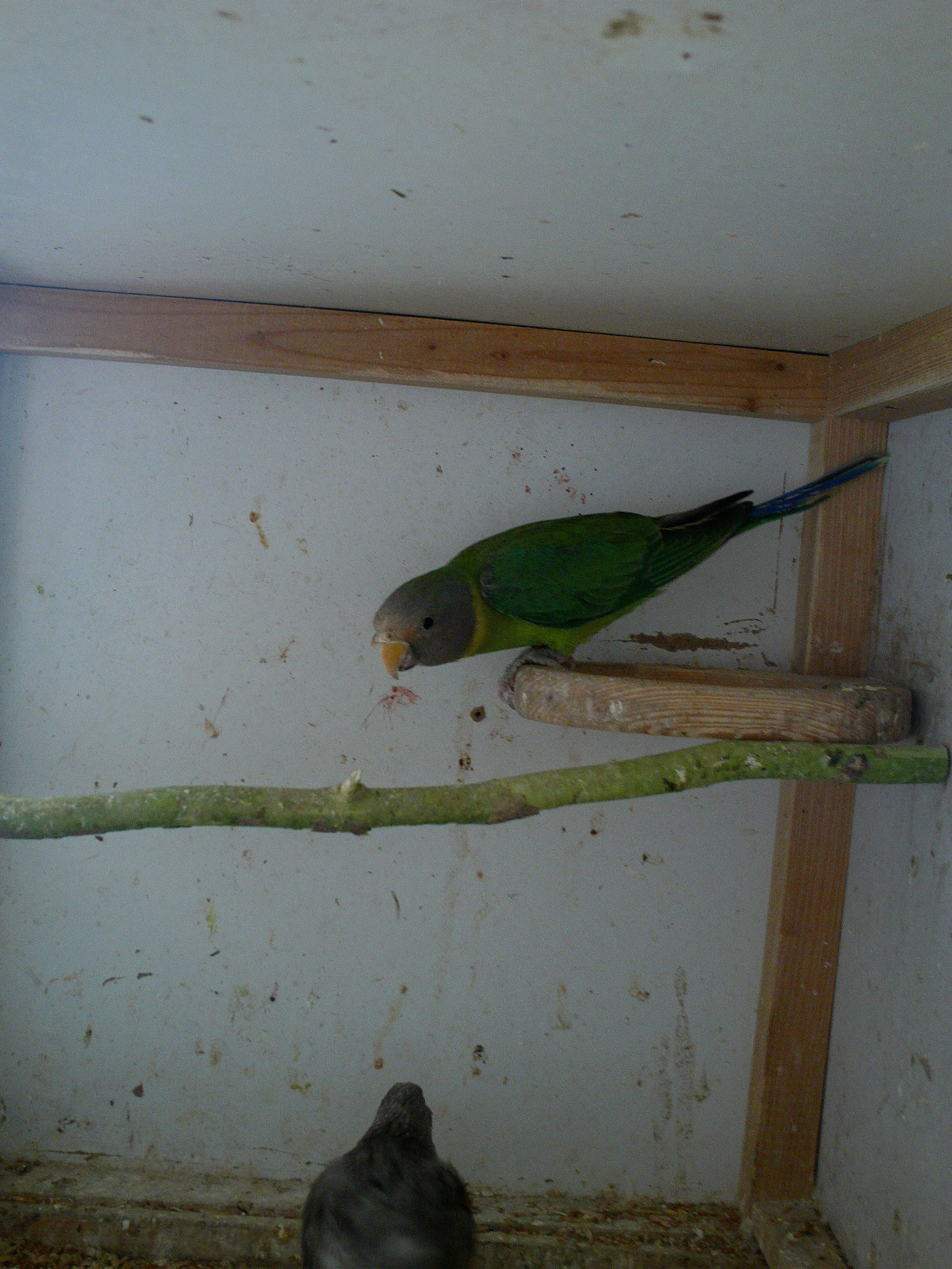 IMAG0484